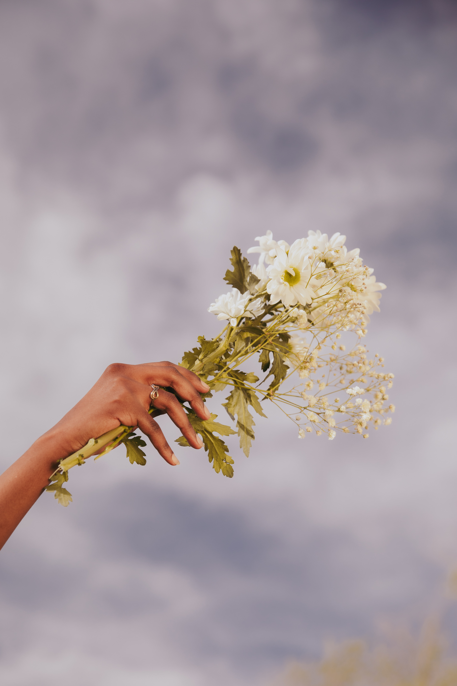 Female Hand Holding a Bunch of White Flowers